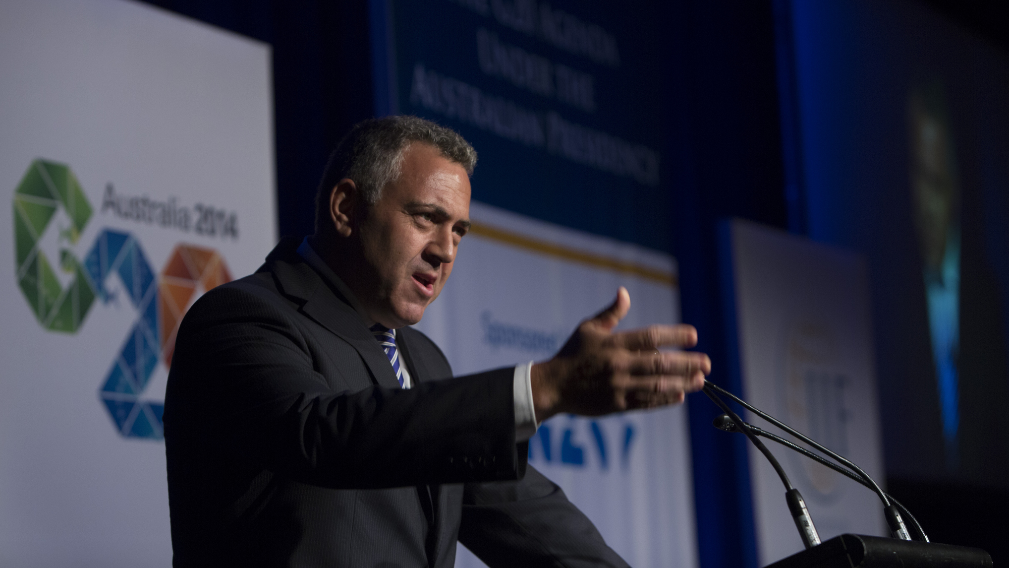 https://www.g20.org/news/photo_gallery/treasurer_hockey_address_institute_international_finance_australias_g20_agenda